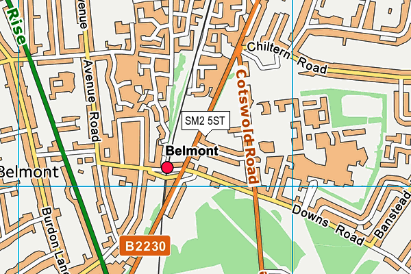 SM2 5ST map - OS VectorMap District (Ordnance Survey)