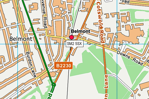 SM2 5SX map - OS VectorMap District (Ordnance Survey)