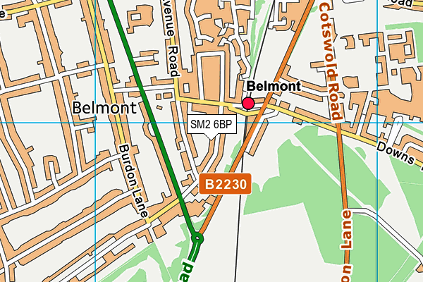 SM2 6BP map - OS VectorMap District (Ordnance Survey)