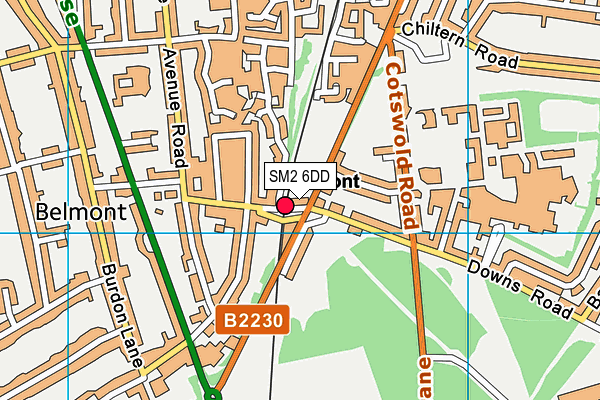 SM2 6DD map - OS VectorMap District (Ordnance Survey)