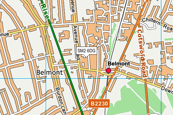 SM2 6DG map - OS VectorMap District (Ordnance Survey)