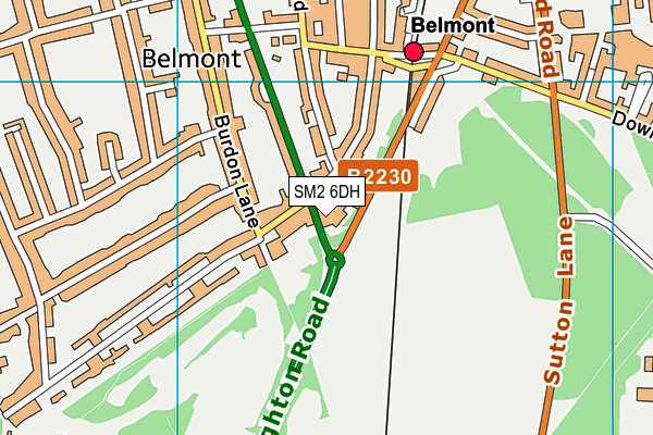 SM2 6DH map - OS VectorMap District (Ordnance Survey)