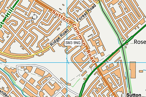 SM3 9NG map - OS VectorMap District (Ordnance Survey)