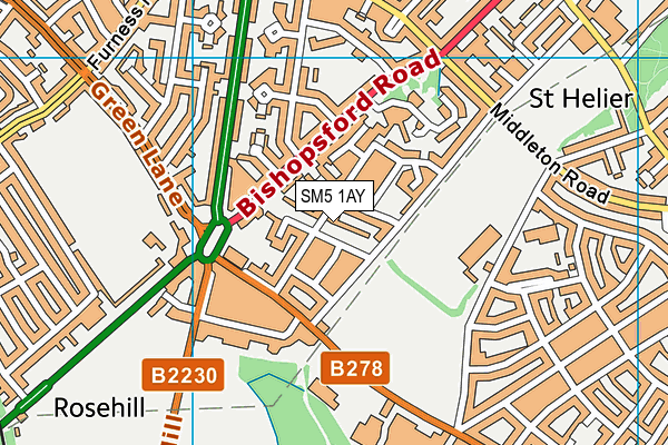 SM5 1AY map - OS VectorMap District (Ordnance Survey)