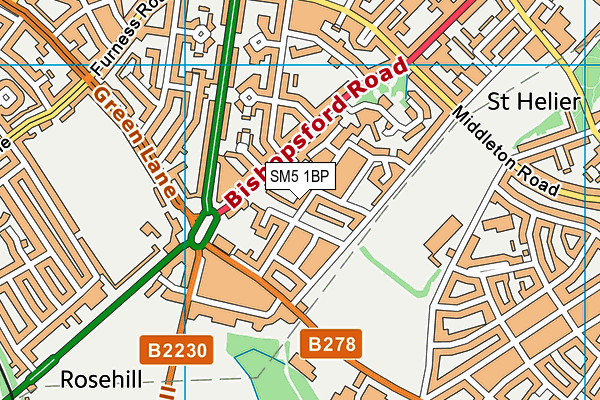 SM5 1BP map - OS VectorMap District (Ordnance Survey)