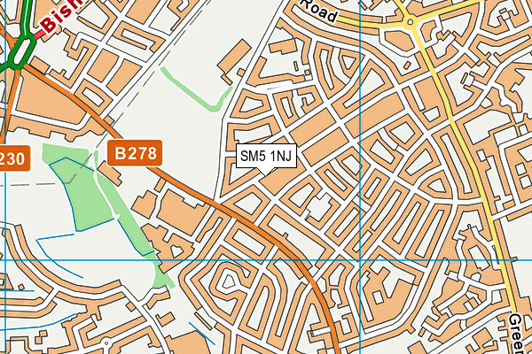 SM5 1NJ map - OS VectorMap District (Ordnance Survey)