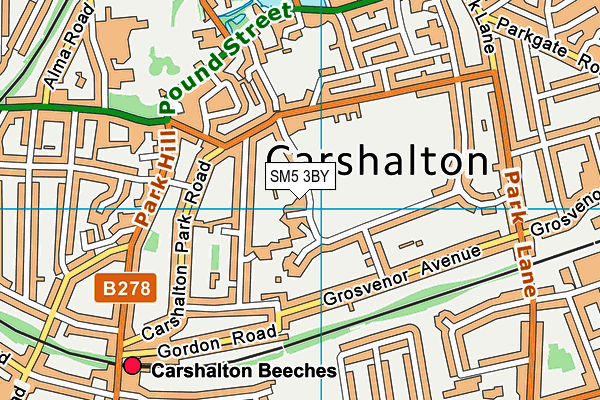 SM5 3BY map - OS VectorMap District (Ordnance Survey)