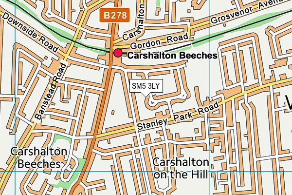 SM5 3LY map - OS VectorMap District (Ordnance Survey)