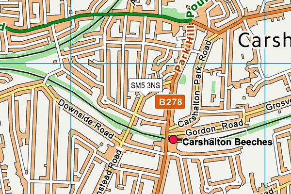 SM5 3NS map - OS VectorMap District (Ordnance Survey)