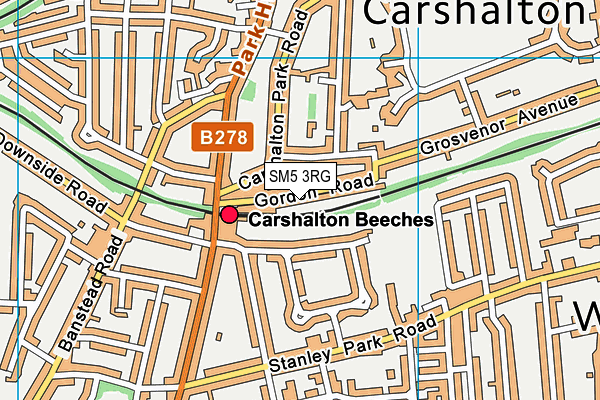 SM5 3RG map - OS VectorMap District (Ordnance Survey)