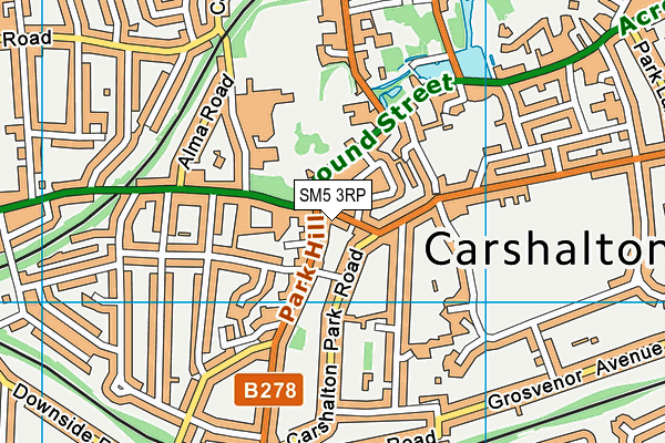 SM5 3RP map - OS VectorMap District (Ordnance Survey)