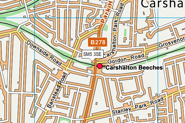 SM5 3SE map - OS VectorMap District (Ordnance Survey)