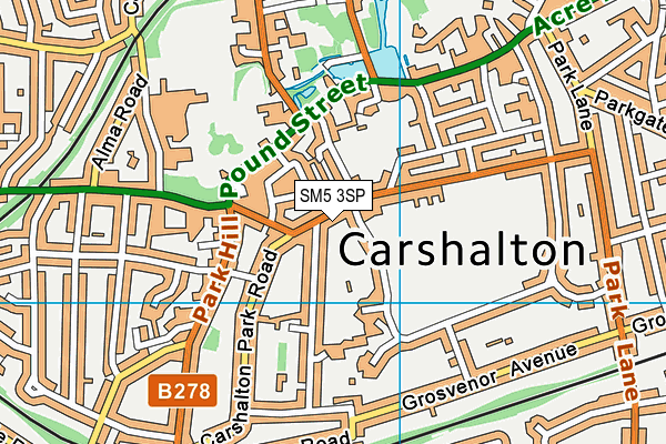 SM5 3SP map - OS VectorMap District (Ordnance Survey)