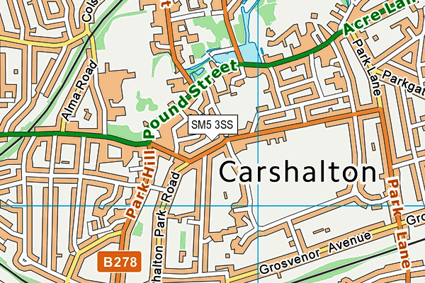 SM5 3SS map - OS VectorMap District (Ordnance Survey)