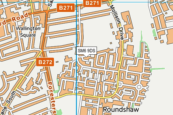 SM6 9DS map - OS VectorMap District (Ordnance Survey)