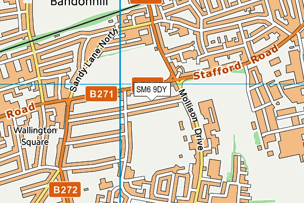 SM6 9DY map - OS VectorMap District (Ordnance Survey)