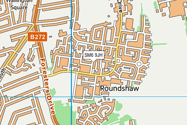 SM6 9JH map - OS VectorMap District (Ordnance Survey)