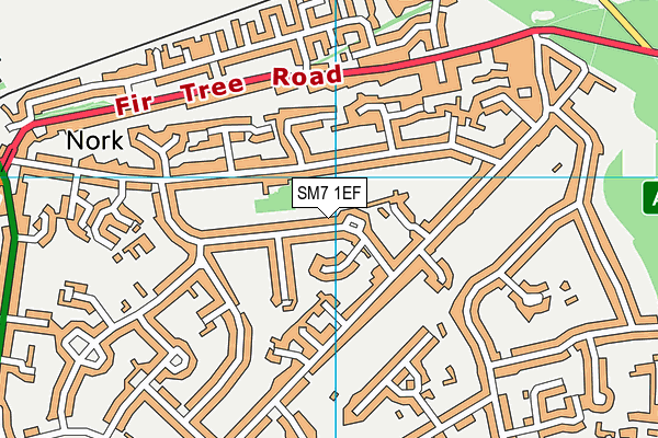 SM7 1EF map - OS VectorMap District (Ordnance Survey)