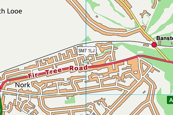 SM7 1LJ map - OS VectorMap District (Ordnance Survey)