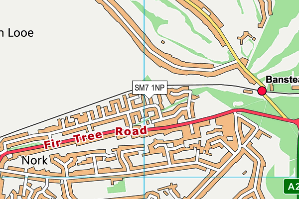 SM7 1NP map - OS VectorMap District (Ordnance Survey)