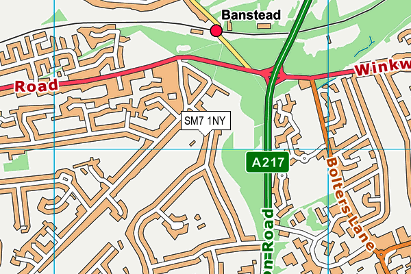 SM7 1NY map - OS VectorMap District (Ordnance Survey)