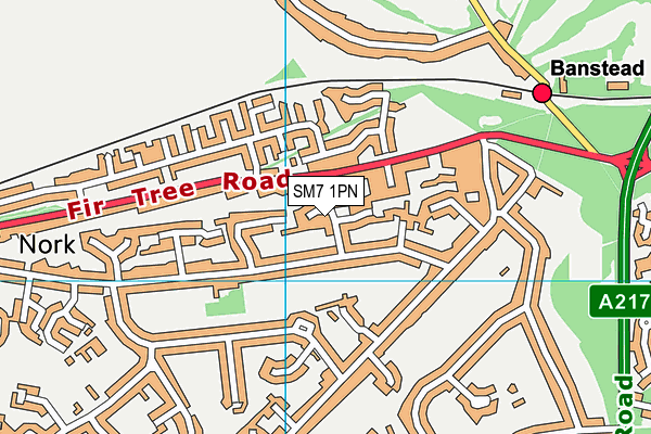 SM7 1PN map - OS VectorMap District (Ordnance Survey)