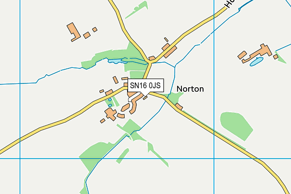 SN16 0JS map - OS VectorMap District (Ordnance Survey)