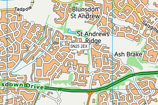 Bridlewood Primary School map (SN25 2EX) - OS VectorMap District (Ordnance Survey)