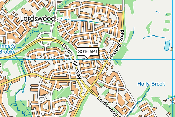 SO16 5PJ map - OS VectorMap District (Ordnance Survey)