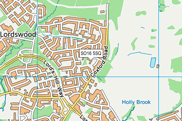 SO16 5SQ map - OS VectorMap District (Ordnance Survey)