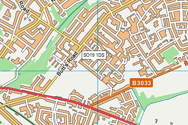 SO19 1DS map - OS VectorMap District (Ordnance Survey)