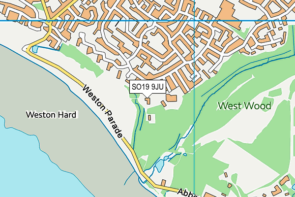 SO19 9JU map - OS VectorMap District (Ordnance Survey)