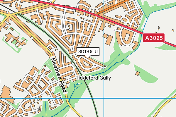 SO19 9LU map - OS VectorMap District (Ordnance Survey)
