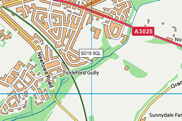 SO19 9QL map - OS VectorMap District (Ordnance Survey)