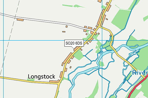 SO20 6DS map - OS VectorMap District (Ordnance Survey)