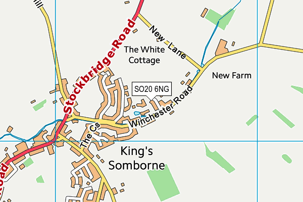 SO20 6NG map - OS VectorMap District (Ordnance Survey)