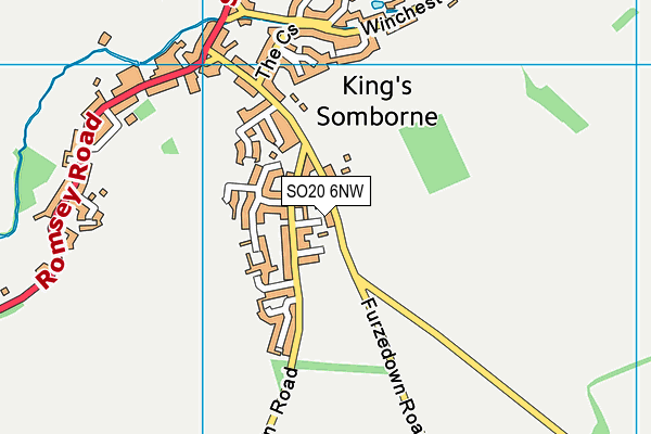 SO20 6NW map - OS VectorMap District (Ordnance Survey)