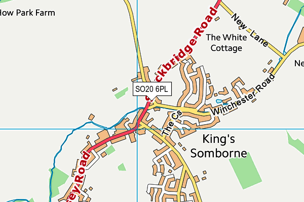 SO20 6PL map - OS VectorMap District (Ordnance Survey)