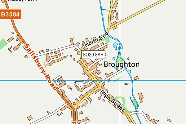 SO20 8AH map - OS VectorMap District (Ordnance Survey)