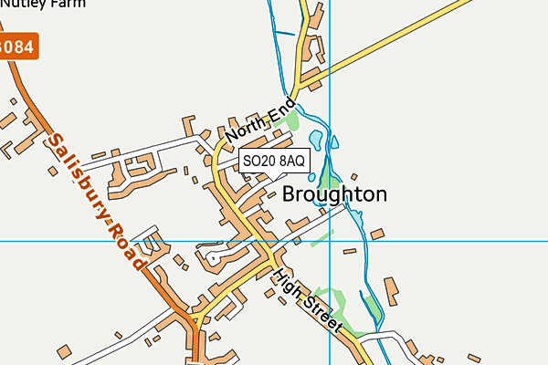 SO20 8AQ map - OS VectorMap District (Ordnance Survey)