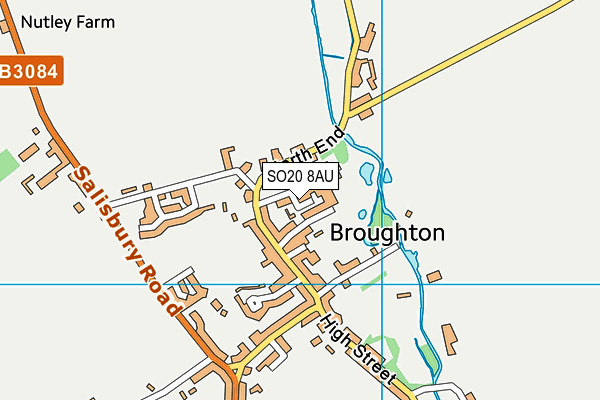 SO20 8AU map - OS VectorMap District (Ordnance Survey)