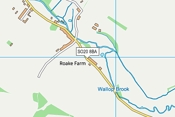 SO20 8BA map - OS VectorMap District (Ordnance Survey)