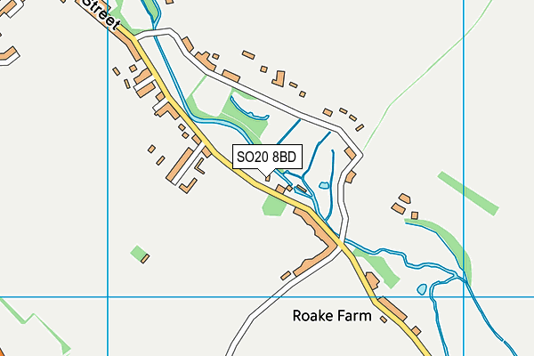 SO20 8BD map - OS VectorMap District (Ordnance Survey)