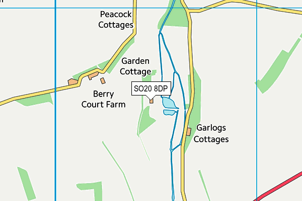 SO20 8DP map - OS VectorMap District (Ordnance Survey)