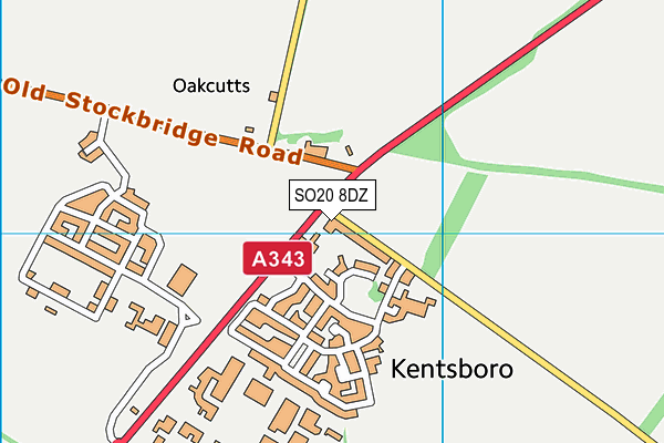 SO20 8DZ map - OS VectorMap District (Ordnance Survey)