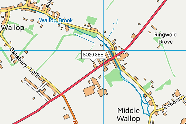 SO20 8EE map - OS VectorMap District (Ordnance Survey)