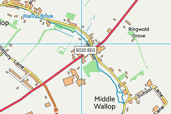SO20 8EG map - OS VectorMap District (Ordnance Survey)