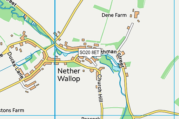 SO20 8ET map - OS VectorMap District (Ordnance Survey)