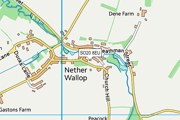 SO20 8EU map - OS VectorMap District (Ordnance Survey)