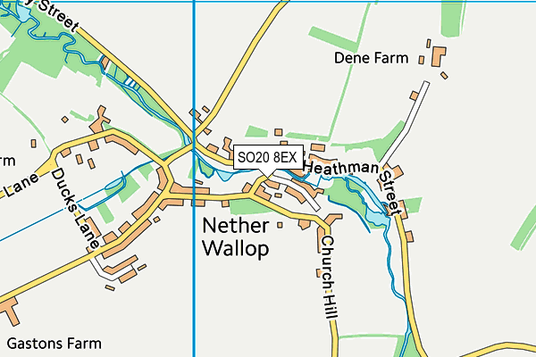 SO20 8EX map - OS VectorMap District (Ordnance Survey)